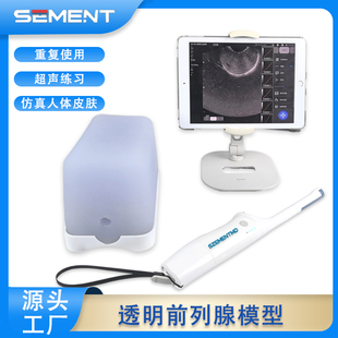 超声引导前列腺穿刺模型经会阴活检操作训练培训教学