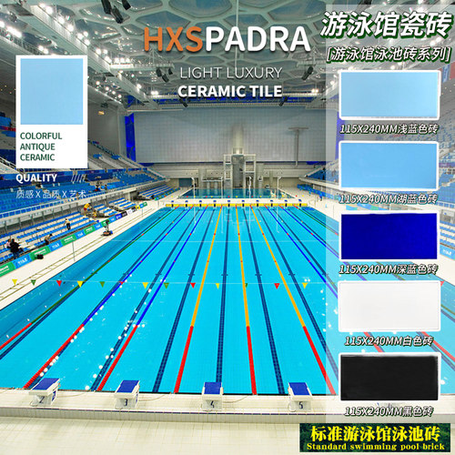 标准蓝色体育馆竞赛训练泳池砖