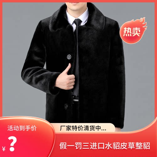 特价清仓进口真貂皮外套男整貂