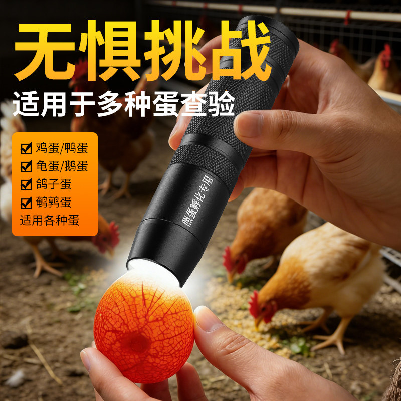 新款照蛋器强光孵化专用鸡蛋验蛋神器穿透冷光照蛋灯LED充电电筒