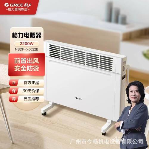格力电暖器NBDF-X6022B遥控取暖器防水 居浴即插即用