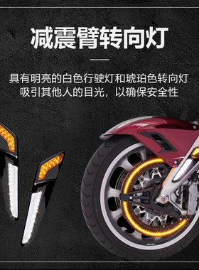 进口Goldstrike适用于金翼GL1800改前叉前避震LED装饰灯F6B通用灯