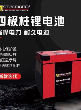 W-STANDARD摩托车锂电池