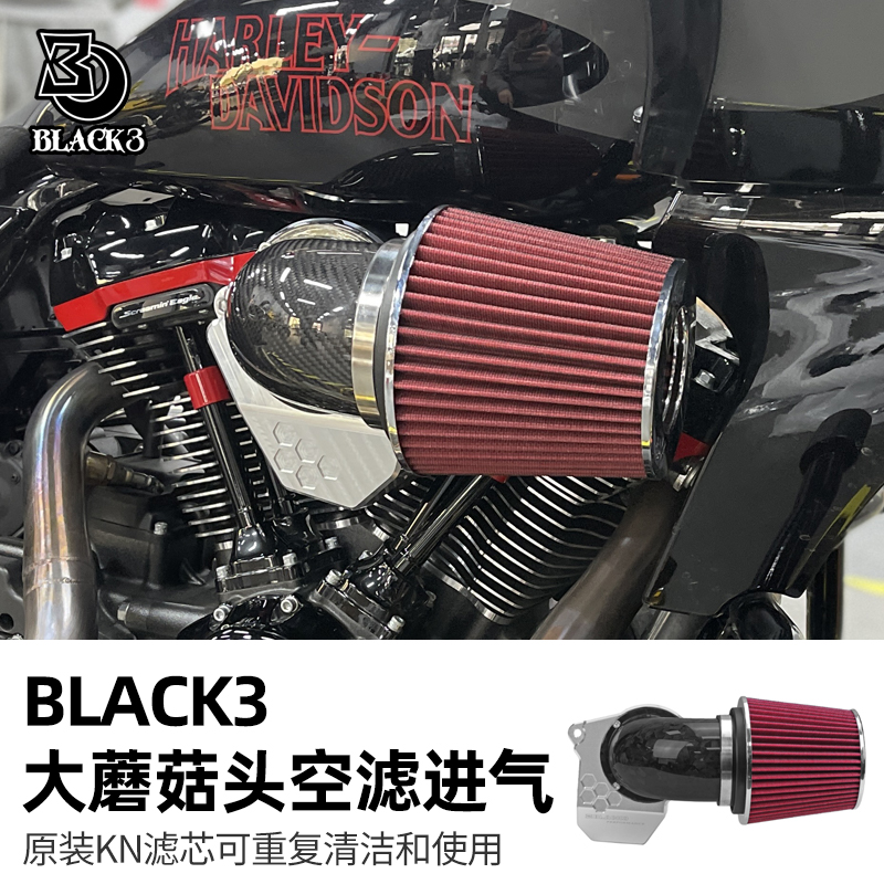 24后哈雷117公路滑翔蘑菇头空滤