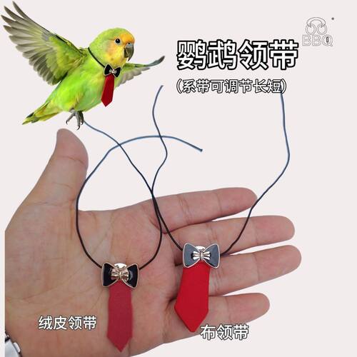 小鸟领带鹦鹉领结鸟项圈可调节牡丹玄凤和尚小太阳衣服搞怪穿搭