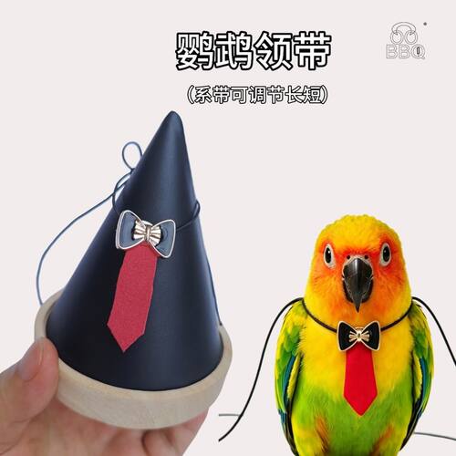 创意小鸟领带鹦鹉领结可调节