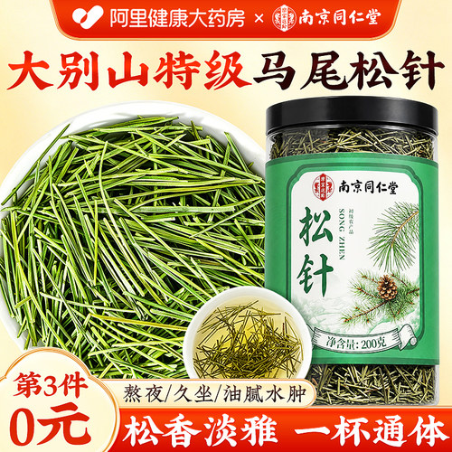 南京同仁堂松针茶新鲜野生马尾松