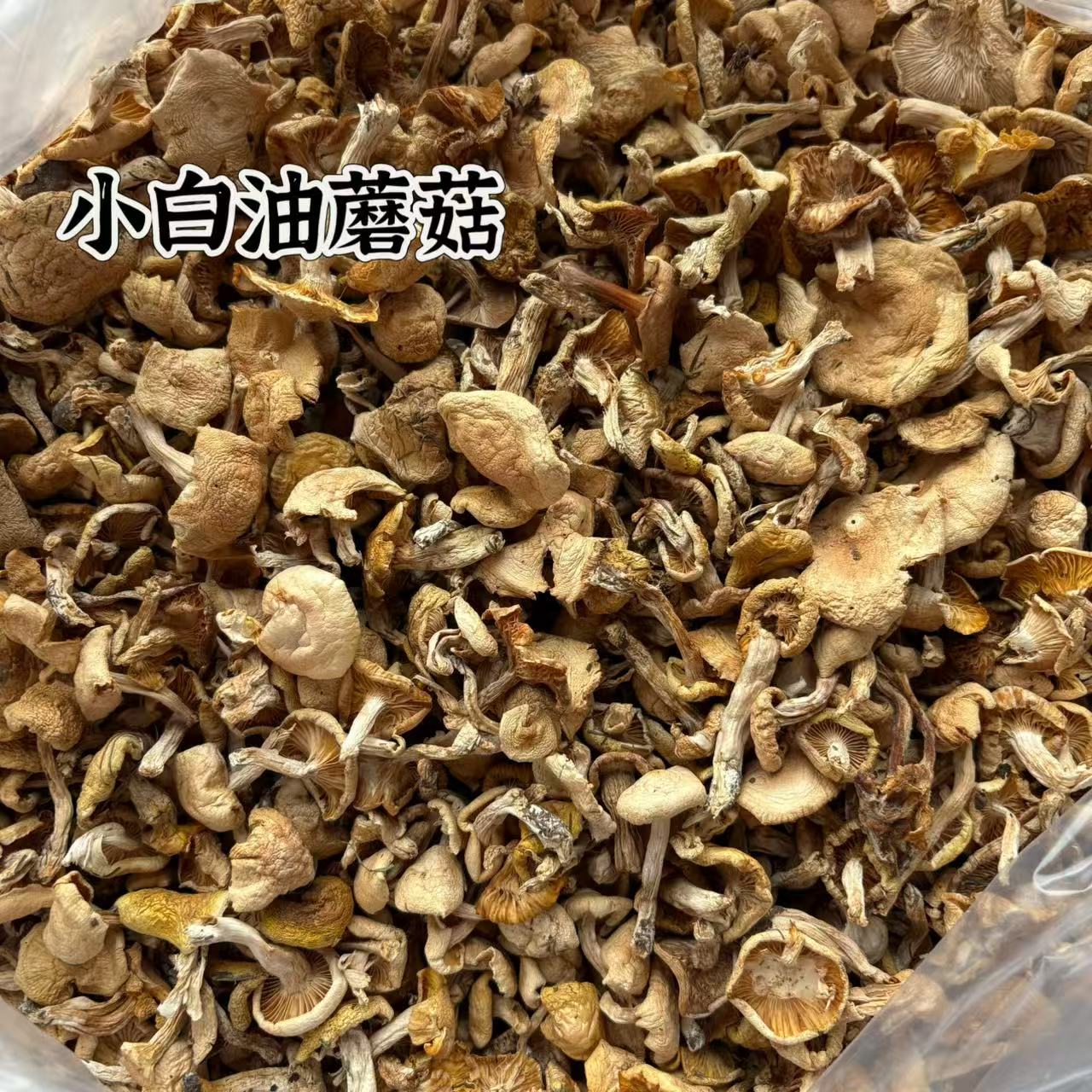 塞罕坝特产-小白蘑野生小白油蘑菇干货承德特产围场野生菌25新货