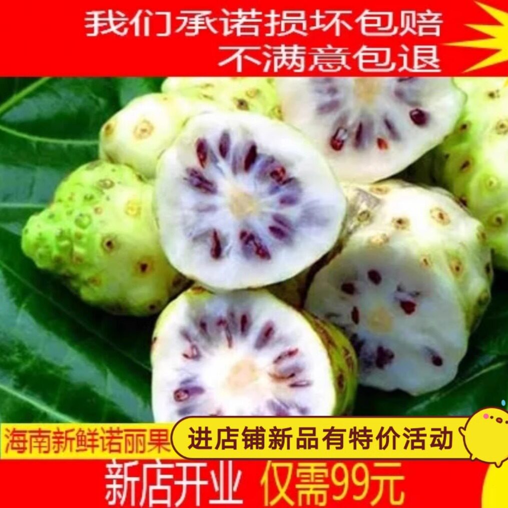 5斤高品质 海南新鲜诺丽果酵素原料 现摘鲜水果诺尼果5斤顺丰包邮