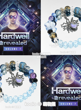 硬好Hardwell应援手链kandi手串跨年三亚VAC电音节DJ专辑礼物饰品