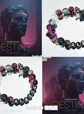 帅索kandi手串Alesso应援手链Destiny广州风暴电音节DJ专辑Raver