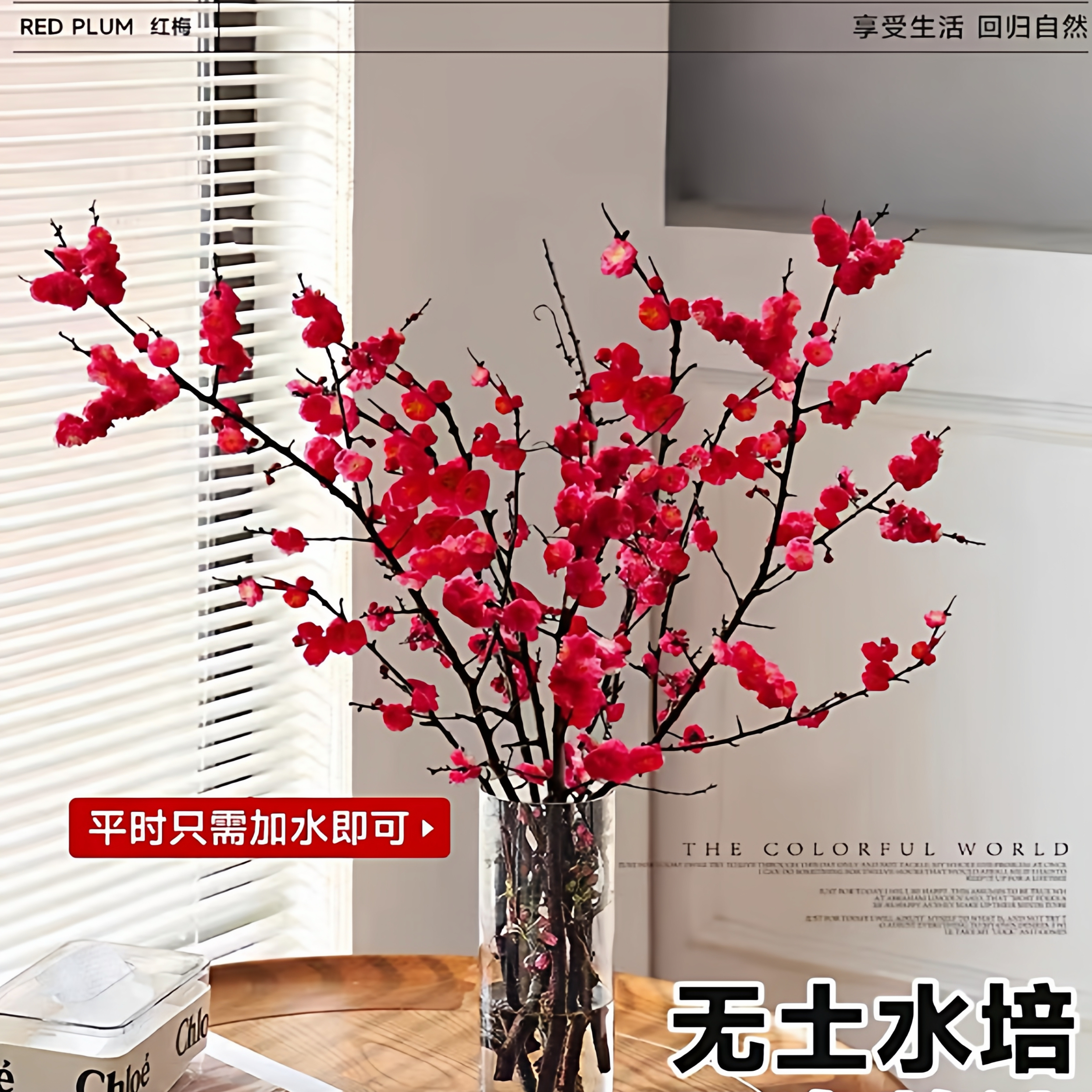 新疆包邮水培桃花枝红梅干枝珍珠李鲜花室内水养观赏花卉盆栽