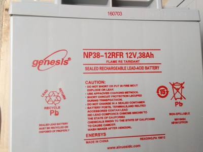 genesie蓄电池NP100-12V24AH38AH65AH100AH120AH150AH-12RFR