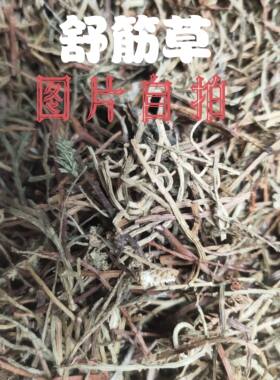 舒筋千金藤、吊白伸筋、松筋藤马尾伸筋石子藤、灯笼草500克包邮