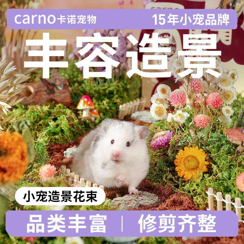 卡诺仓鼠笼装饰用品大全金丝熊笼内造景自然风干花草垫料除臭花束