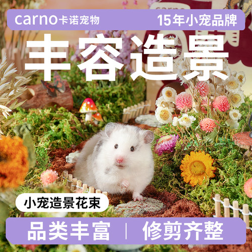 CARNO造景干花金丝熊仓鼠笼