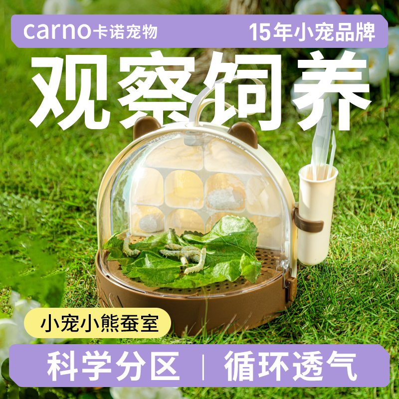 卡诺养蚕观察室学生党养蚕小别墅