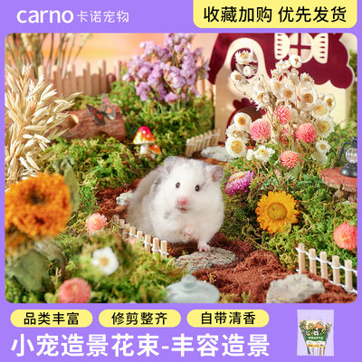 CARNO造景干花金丝熊仓鼠笼