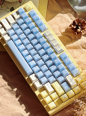 海盐汽水/白桃乌龙半透机械键盘键帽大全套PBT+PC二色原厂高度