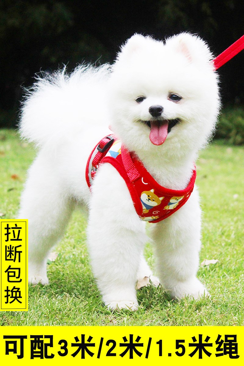 狗狗牵引绳背心狗绳式狗链子小型犬泰迪比熊博美小狗背带遛狗绳子