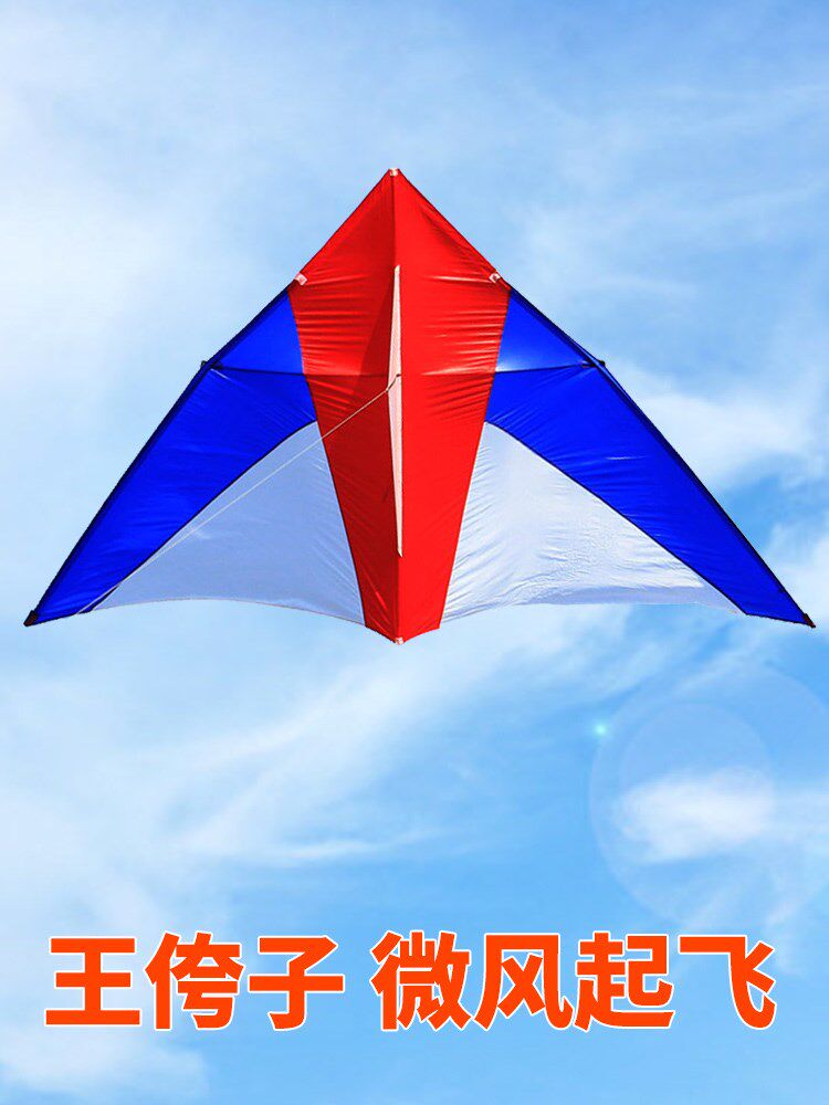 潍坊王侉子风筝伞布碳杆专业大型成人玩家微风风筝
