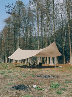 三只小驴户外天幕帐篷便携式 大型遮阳棚野营加厚防雨露营超大天幕