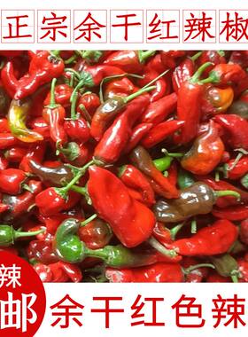 正宗余干小辣椒新鲜红辣椒 农家余干红色辣椒枫树丰收小辣椒特辣