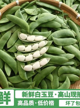 3斤白玉豆新鲜特产江西上饶崇明洋扁豆白芸豆花豆子1斤福建现摘