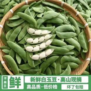3斤白玉豆新鲜特产江西上饶崇明洋扁豆白芸豆花豆子1斤福建现摘