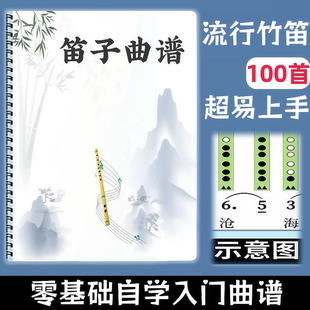 笛子流行曲洞洞谱零基础自学入门曲谱超易上手100首精美活页装订