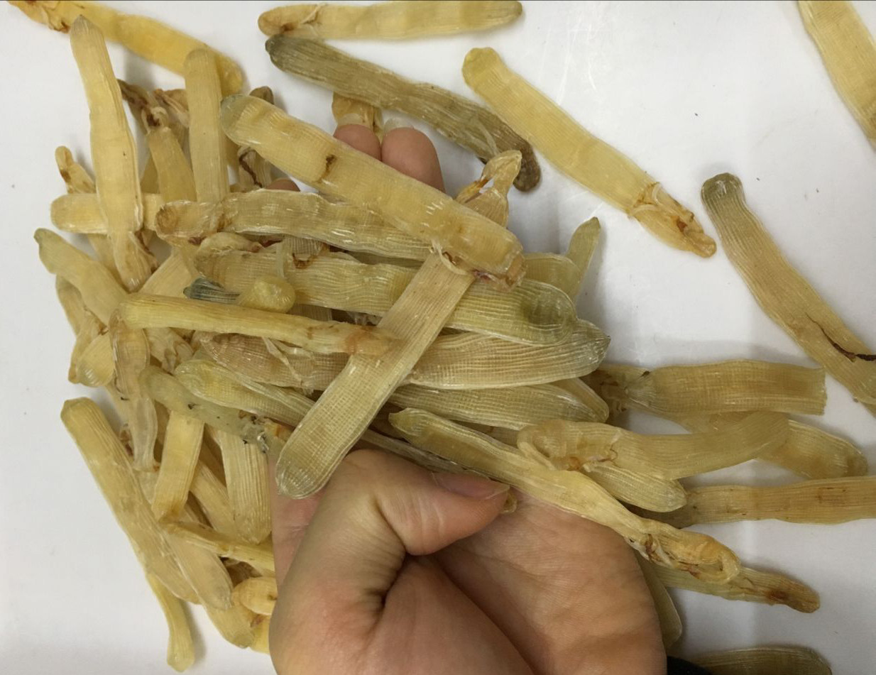 湛江特产天然特级野生沙虫干干货中号无沙海鲜水产品活鲜50g包邮