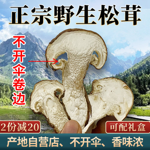 西藏特级纯野生松茸干片货林芝非云南香格里拉雅江小金冻干菌礼盒