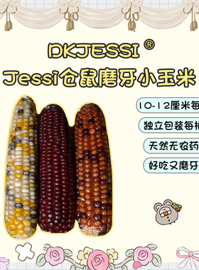 【DKJESSI】jessi家迷你小玉米磨牙棒仓鼠花枝鼠磨牙零食金丝熊