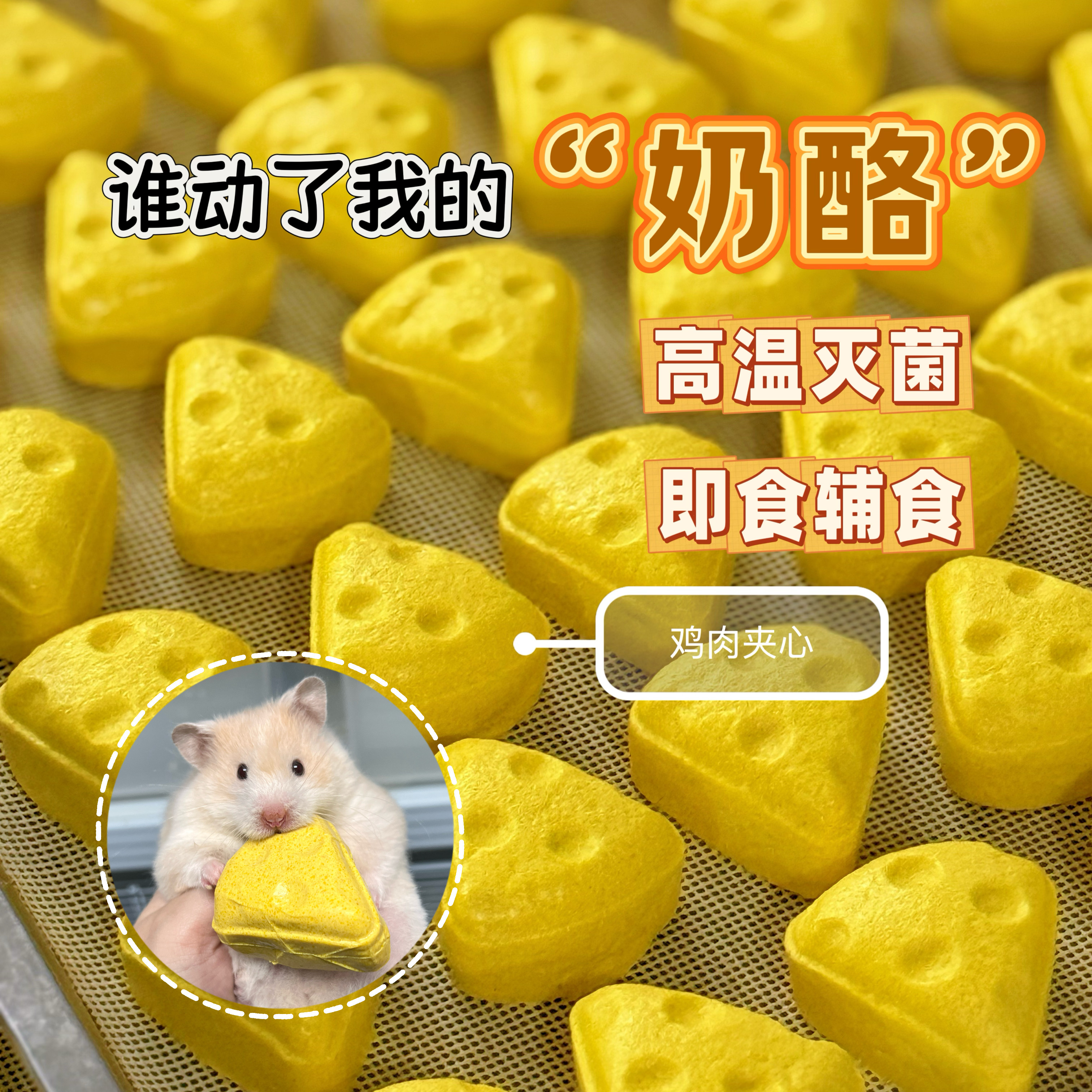 【DKJESSI】仓鼠辅食金丝熊长肉奶酪鲜食高温灭菌仓鼠零食美毛,宠物/宠物食品及用品,鼠类零食,淘宝优惠券,粉丝福利购,淘宝优惠卷