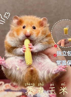 【DKJESSI】玉米笋仓鼠金丝熊零食蒸煮新鲜蔬菜补充维生素花枝鼠