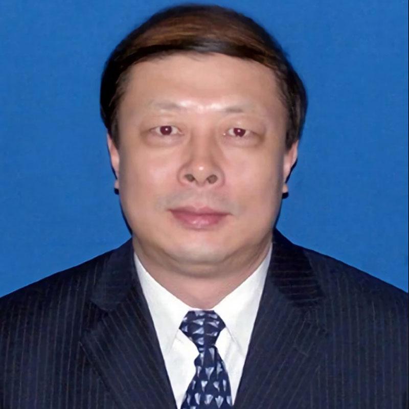 中老年人地中海秃头表演节目假发