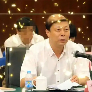 秃头地中海半光头皮表演短卷发假发直播短视频搞笑搞怪舞台道具