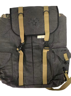 李宁双肩背包男女通用春夏新款户外休闲旅行便捷收纳包ABSH306