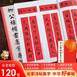 楷书柳体玄秘塔碑刻石毛笔软笔书法练字帖 柳公权楷书集字春联 6大类120幅春节对联 原碑帖古帖楷书集字对联横幅 集字作品