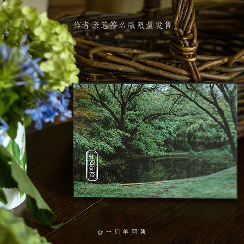 大自然中绿色系景象 和事物的独特风光摄影