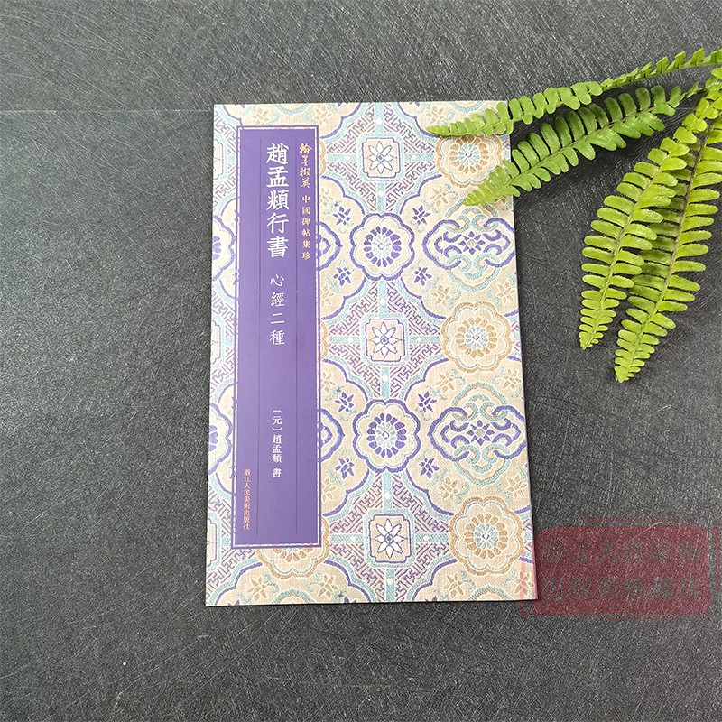 赵孟頫行书xin经二种 高清彩色原碑帖墨迹本简体旁注 赵孟頫行书毛笔书法字帖 浙江人民美术出版社正版