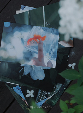 绿了流年 摄影师@-Leeleven-28张森林初夏绿色风光摄影作品集 如沐春风美好温柔出类艺术明信片创意唯美风景文艺插画集文创装饰