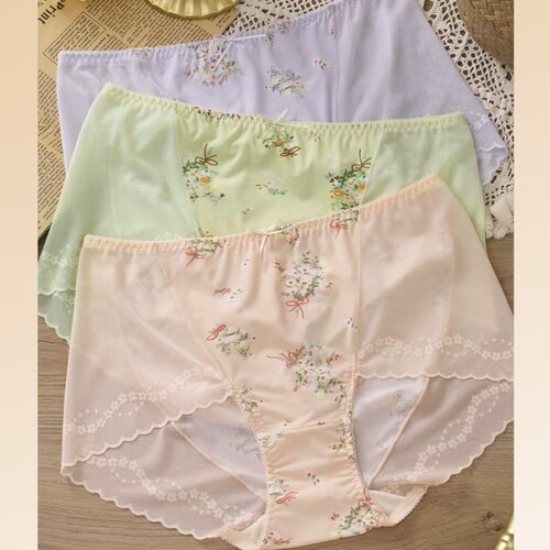 满四条包邮花仙子蕾丝网布内裤女24新22157中高腰平角裤茶氨酚裆