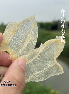 嗨动力正宗印尼野生白花胶公肚美容名胶正品月子滋补深海鱼胶