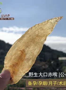嗨动力野生大口赤嘴鳘鱼胶公母混合月子孕妇花胶已检正品鱼肚干货