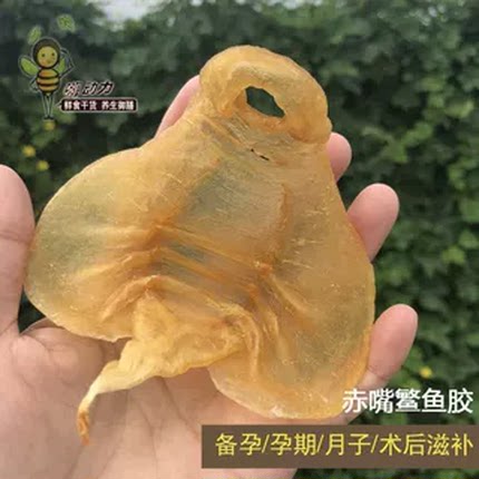 【5年老胶】深海野生赤嘴鳘鱼胶孕妇月子滋补鱼鳔花胶干货正品90g