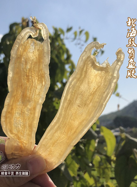 嗨动力北海鱼胶鱼鳔花胶奶冻干货香港正品500g野生深海双背鳘鱼胶