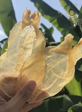 【胃肺滋养】嗨动力越南蜘蛛鱼胶低腥味野生深海甲肚花胶干货正品