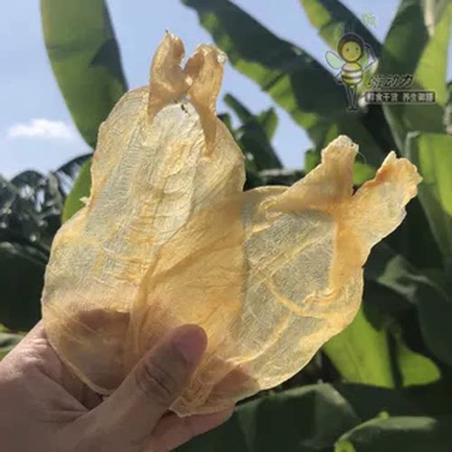 越南蜘蛛鱼胶鱼胶低腥味