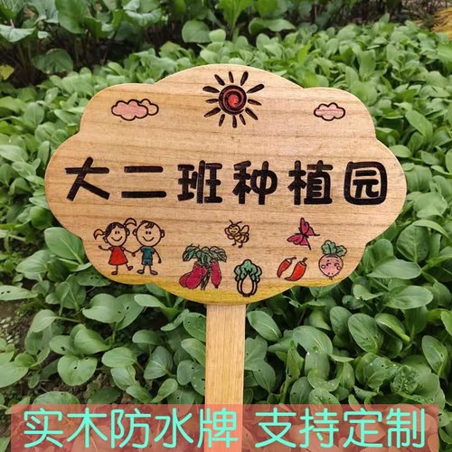 木牌定制幼儿园种植区插牌学校农场菜园牌花园装饰牌实木防水防腐